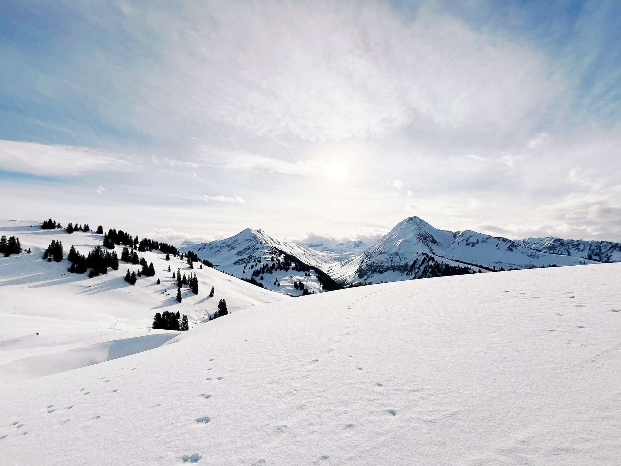 Winterlandschaft