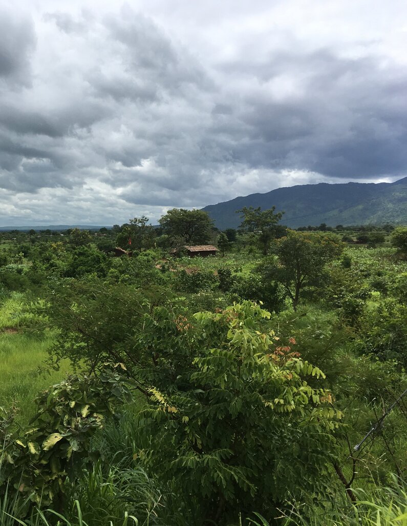 Malawi, Regenwald, Berge, Blantyre
